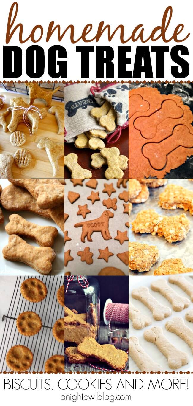 stuffed dog treats