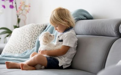 Why Dogs Are Good Pets For Kids