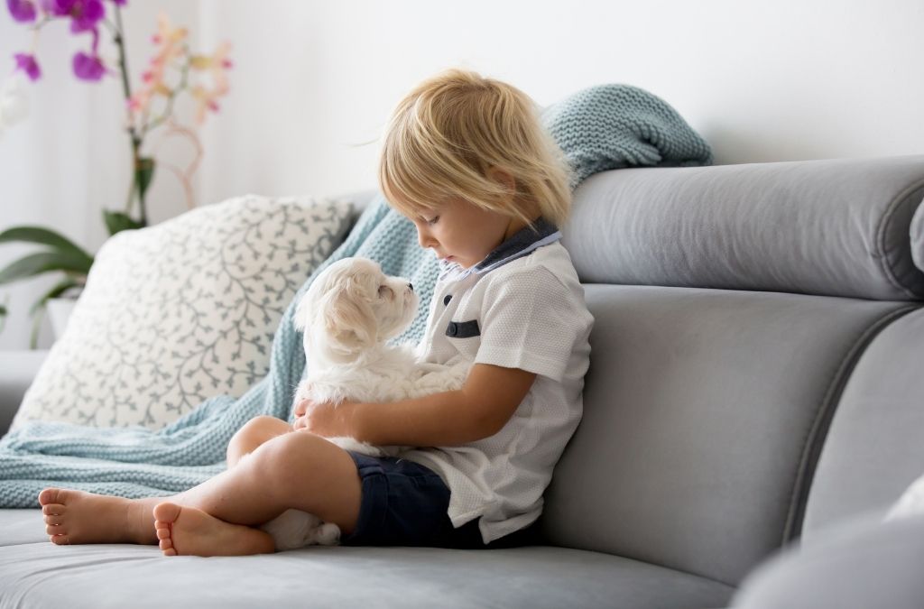 Why Dogs Are Good Pets For Kids