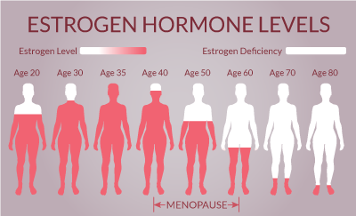 estrogen levels in menopause