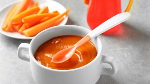 puree food vs baby led weaning for babys first food