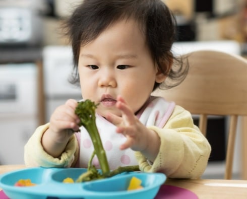 how to start baby led weaning