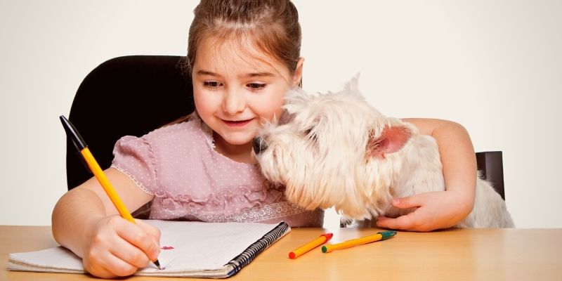 pets for kids are forever child's best friend