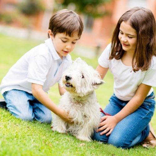 pets for kids help improve child's social skills
