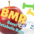 How To Use BMR To Lose Weight and How to Calculate it