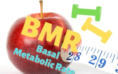 How To Use BMR To Lose Weight – Calculate BMR