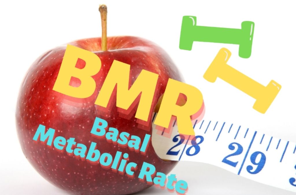 How To Use BMR To Lose Weight Calculate BMR