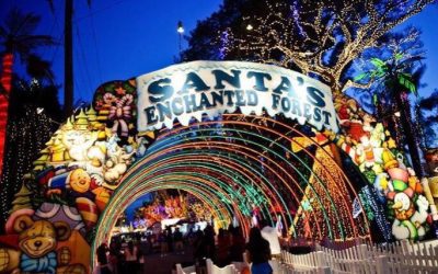 Santa’s Enchanted Forest – Christmas Spirit Without Snow