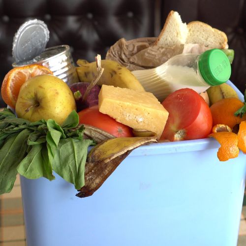 reduce food waste for an eco friendly lifestyle