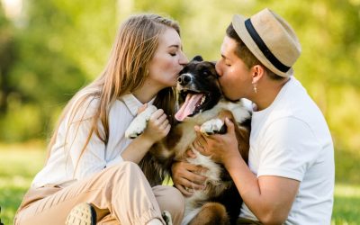 New Dog Owners Guide: Know The Basic Needs Of Your Canine