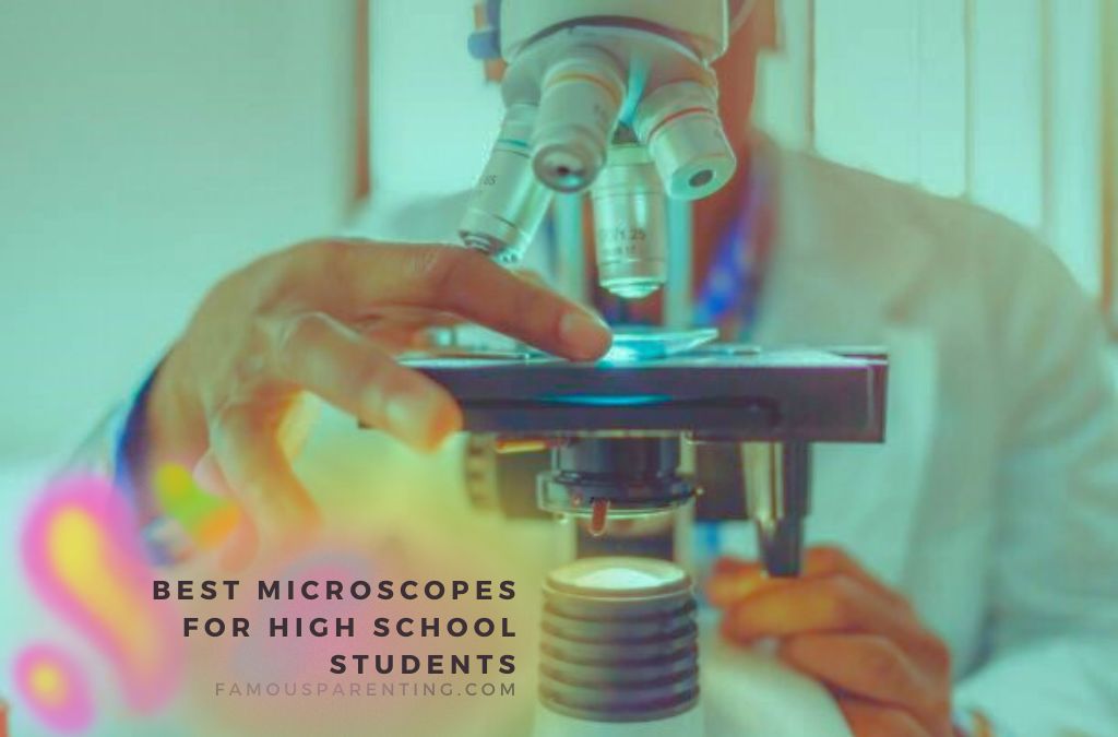 Best Microscopes For High School Students