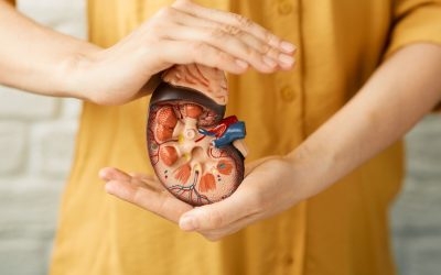 Kidney Health Tips: 6 Effective Maintenance