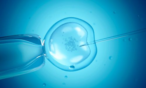 One of the solutions for infertility is the In vitro fertilization