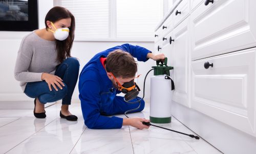 A man spraying pest under the cabinet to create a safe haven for kids at home