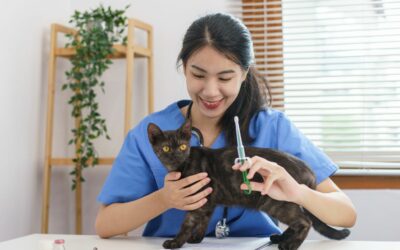 A Comprehensive Guide to Pet Health and Emergency Services