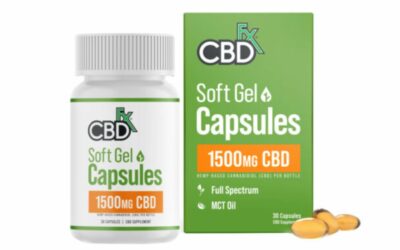 7 Things To Consider While Introducing CBD Oil Capsules In Your Family