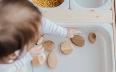 Snack Containers For Toddlers: The Must-Have Solution For Mess-Free Munching