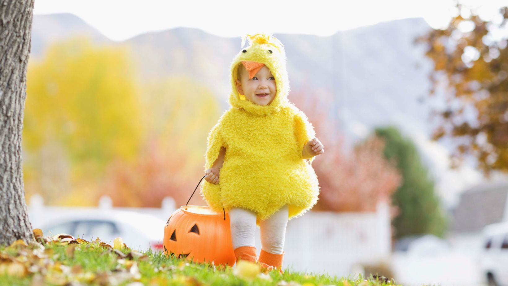 Adorable and Comfy Minions Halloween Costumes for Toddlers - Famous  Parenting