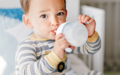 Ensuring Balanced Nutrition with Formula for Toddlers