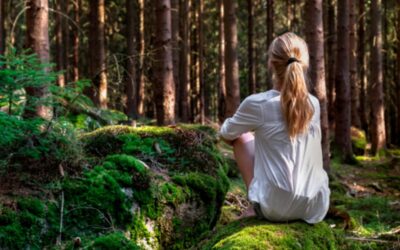 Ecotherapy: Healing the Mind Through Nature-Based Counseling