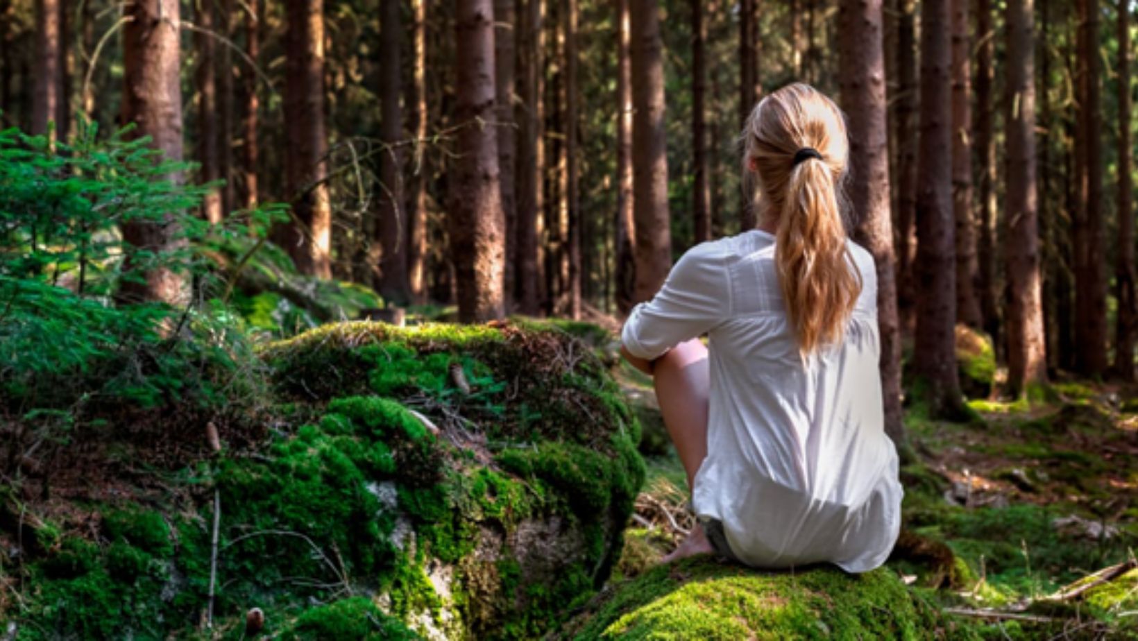 Ecotherapy: Healing The Mind Through Nature-Based Counseling - Famous ...