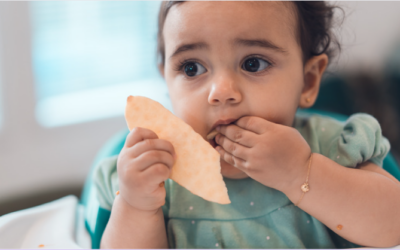 Delicious & Nutritious: Best Crackers For Toddlers