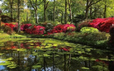 Beauty in Bloom: Exploring the Ultimate places to Enjoy a UK Spring Holiday