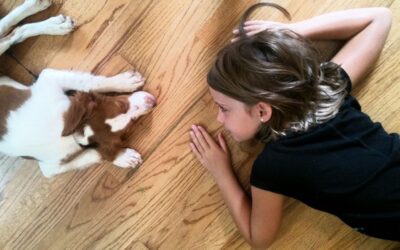Parenting, Puppies, and Patience: Lessons Learned from Our Four-Legged Friends