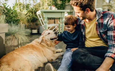 Creating a Relaxing Environment for Your Dog: Tips for a Stress-Free Home