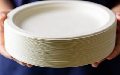 A Guide to Choosing Wholesale Disposable Plates for Weddings