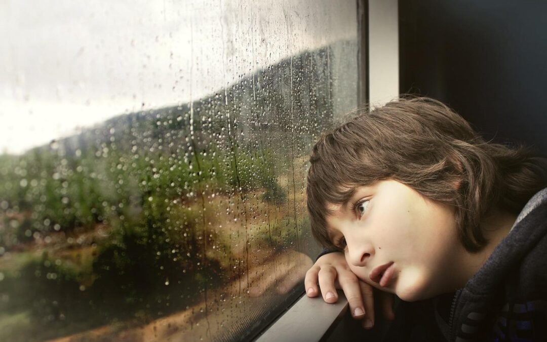 Free Little Boy Window photo and picture