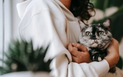 4 Tips for Choosing a Pet for the First Time