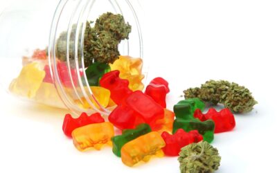 Modern Parenting: Essential Insights on Cannabis Edibles You Need to Know