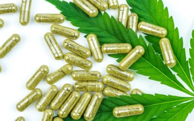 Kratom Capsules: The Secret to a Better Work-Life Balance