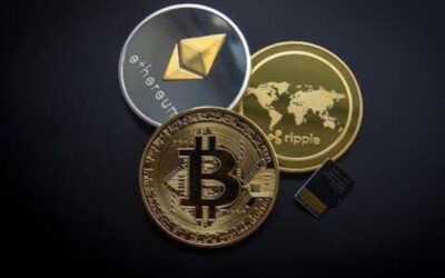 4 Beginner-friendly Cryptocurrencies for Youngsters with an Independent Spirit