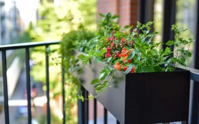 What To Plant In Deck Rail Planters: Tips For A Successful Container Garden